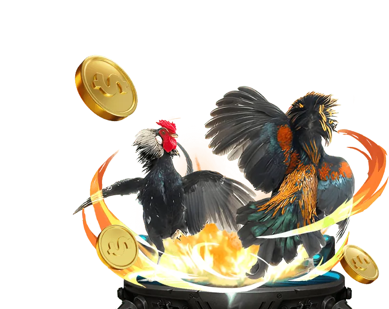 Hình ảnh giới thiệu thương hiệu vvvvwin